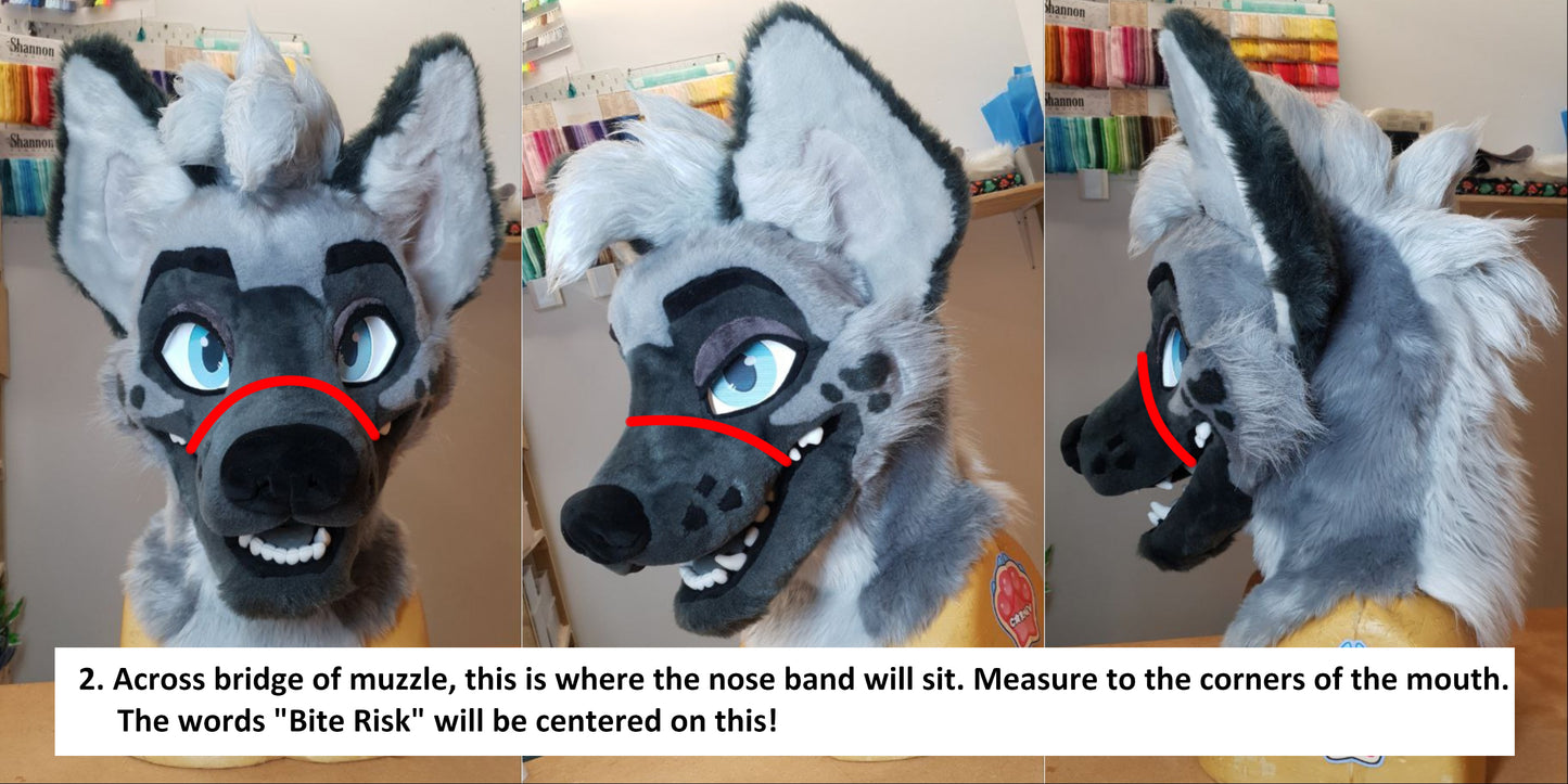 Bite Risk : Muzzle