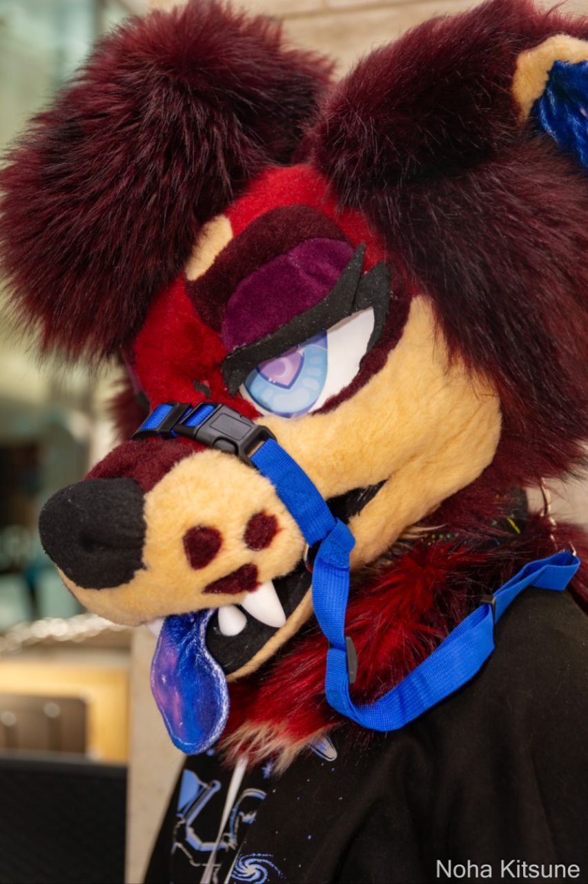 Custom Fursuit Eyes : Print & Artwork