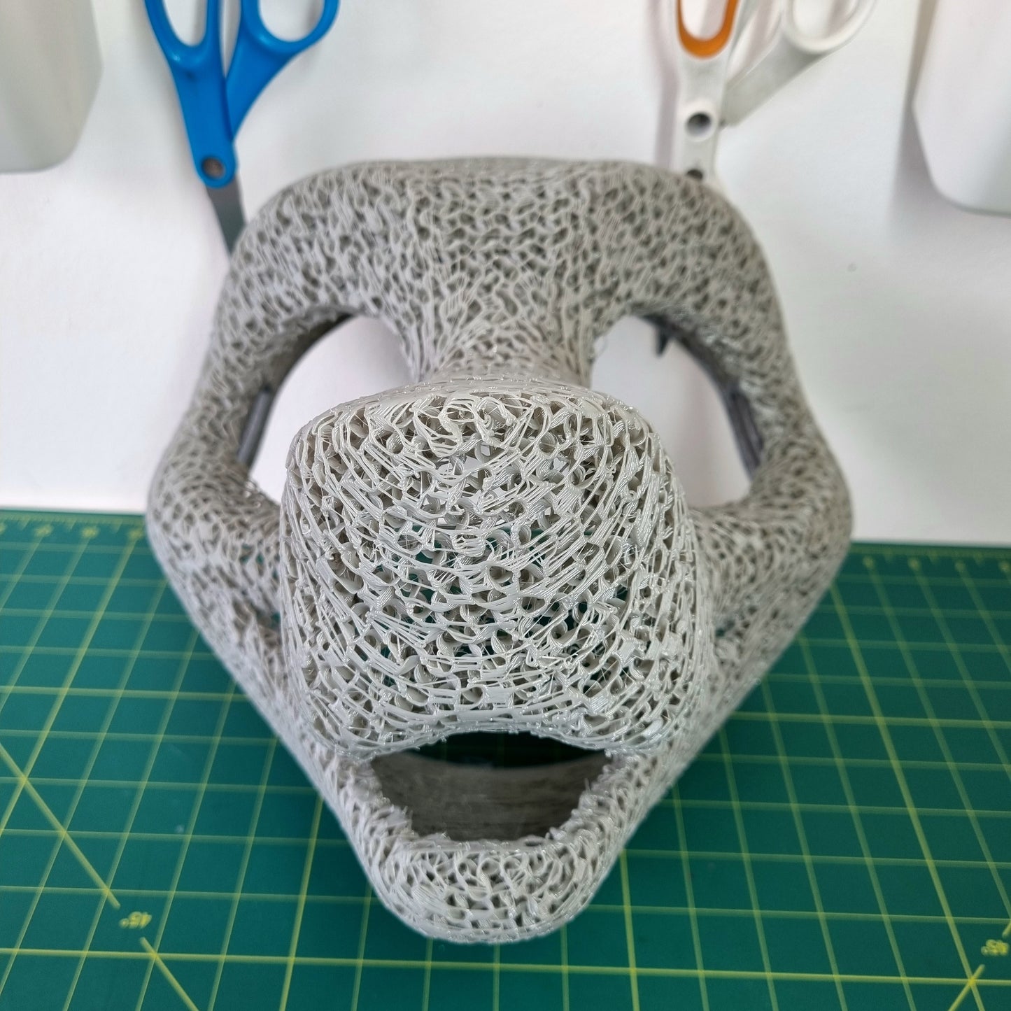 Head Base : Canine