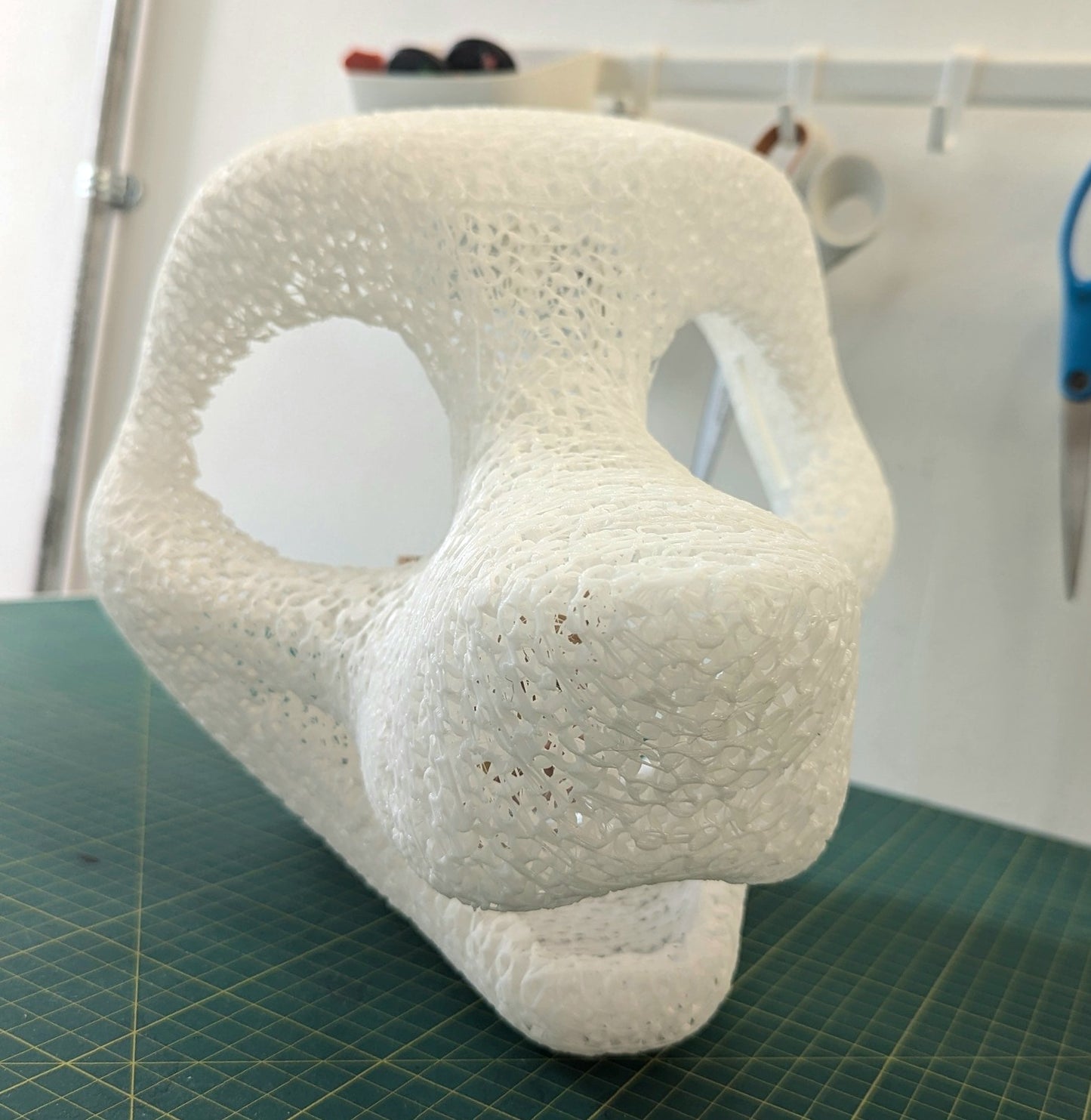 Head Base : Canine