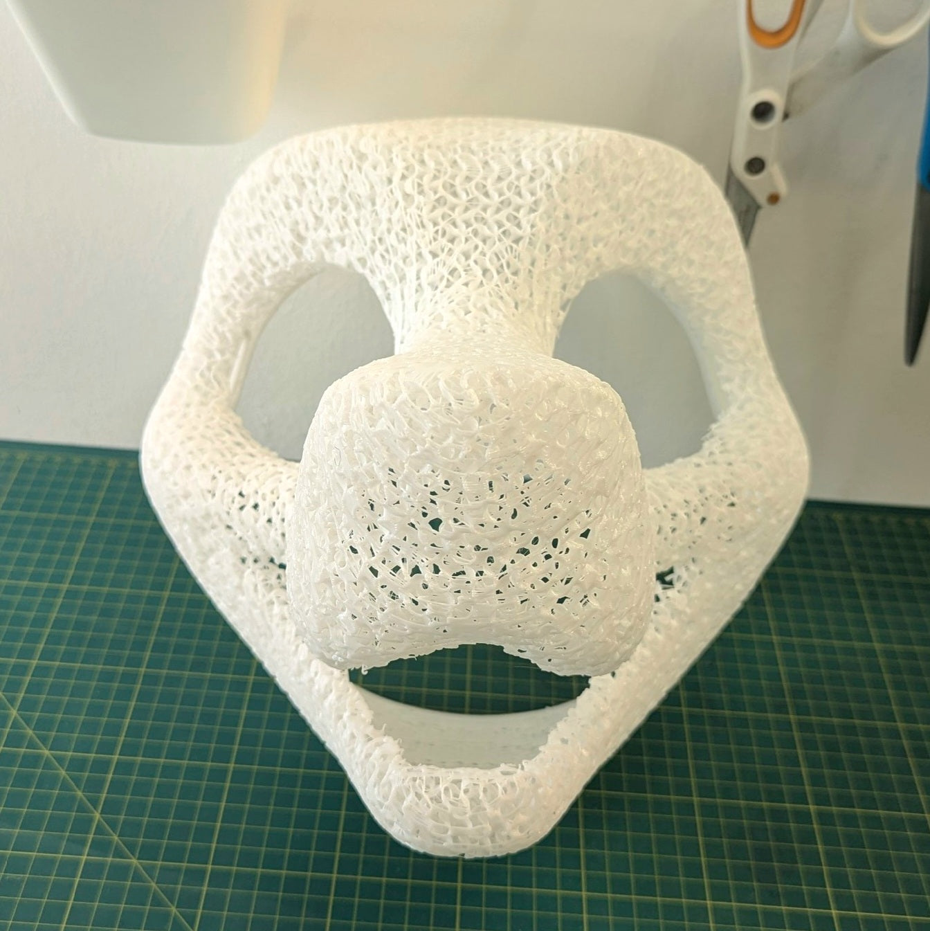 Head Base : Canine