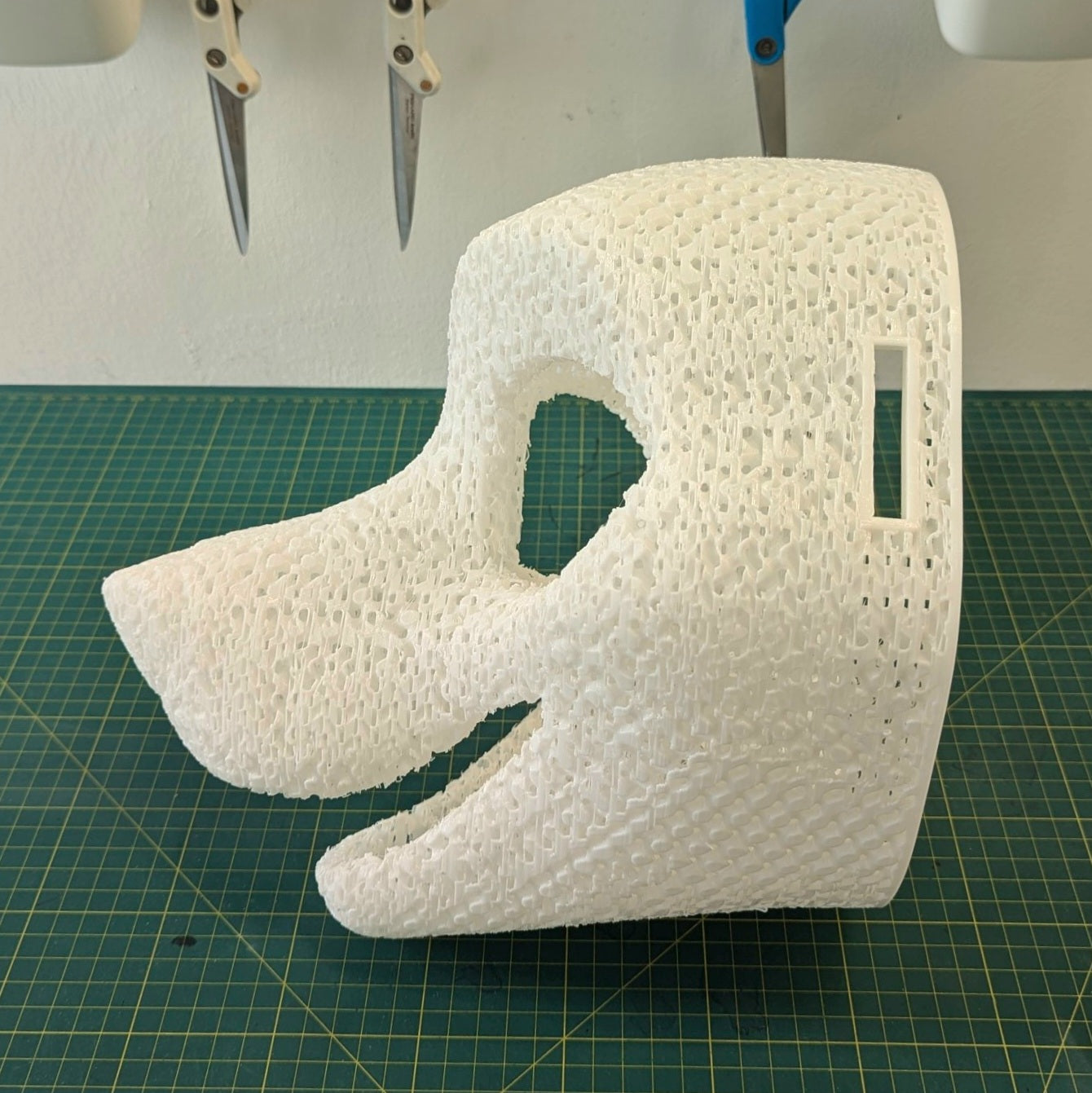 Head Base : Canine