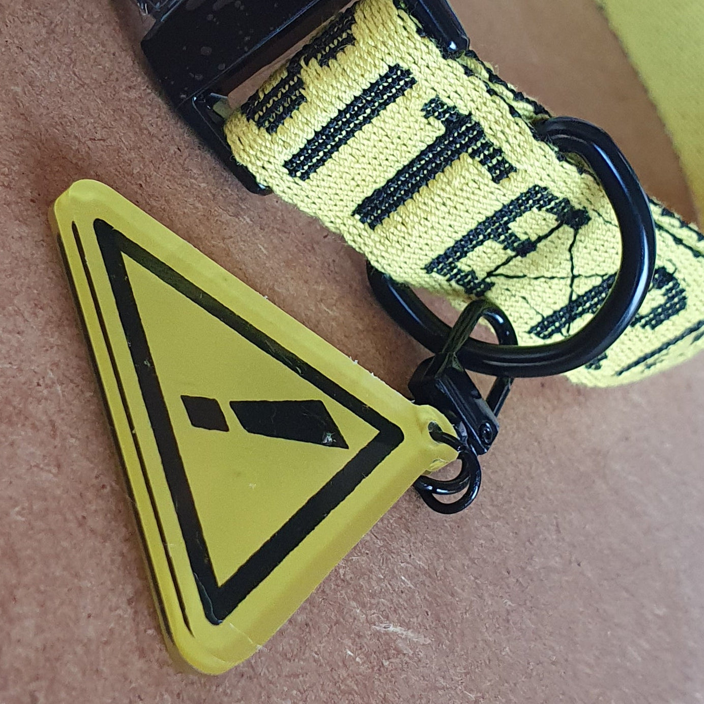 Bite Risk : Dog Tag