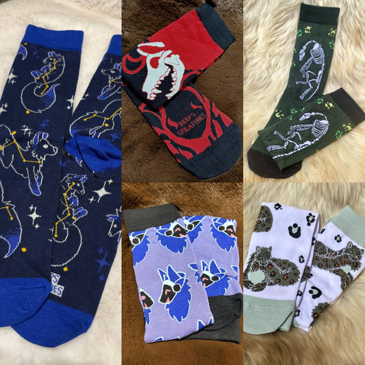 Artist Feature : Beeps Socks