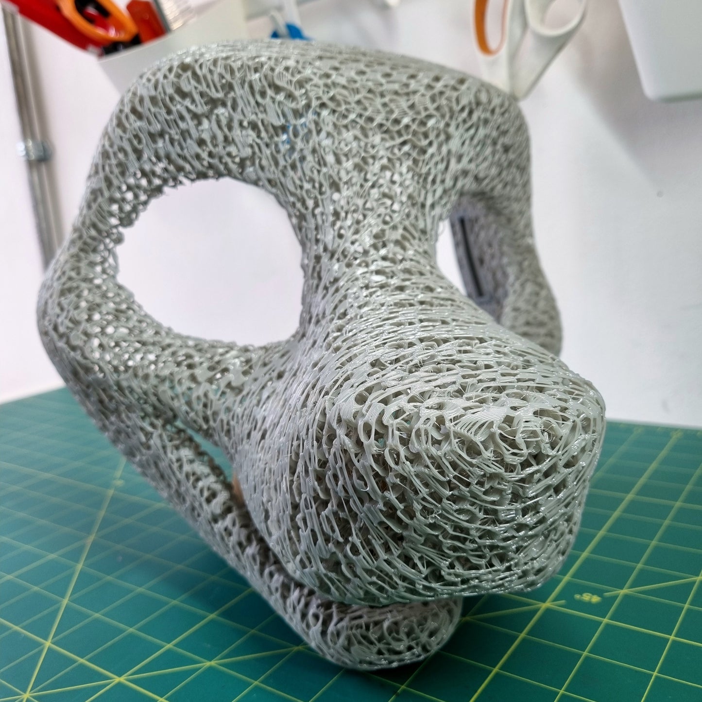Head Base : Canine