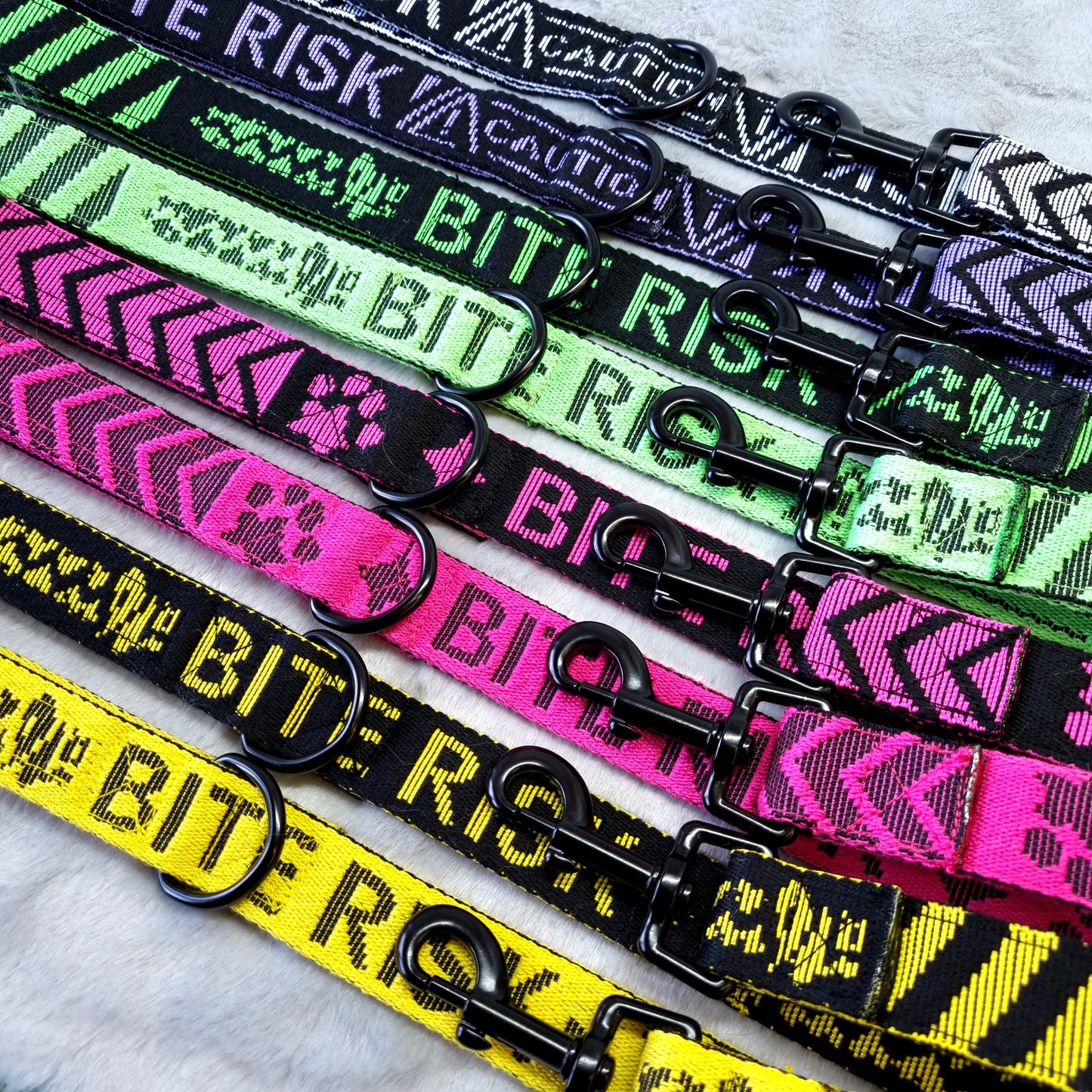 Bite Risk : Leash