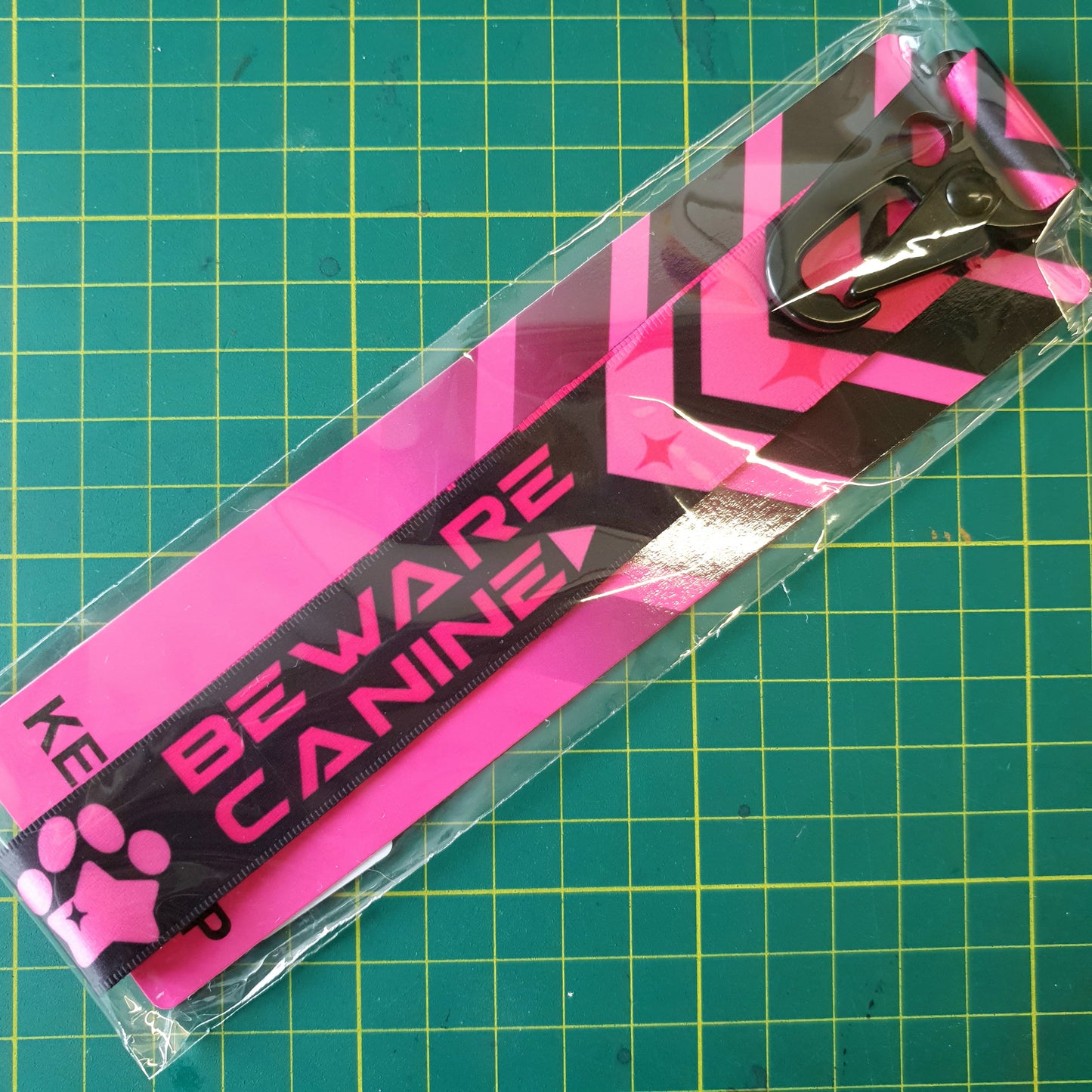 Key Clip : Bite Risk Pink