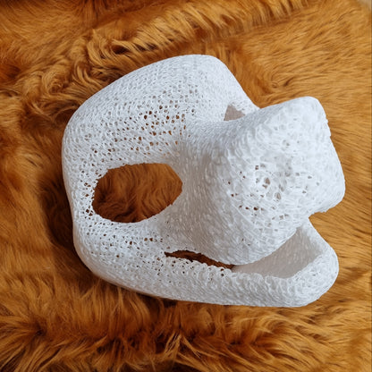 Head Base : Canine