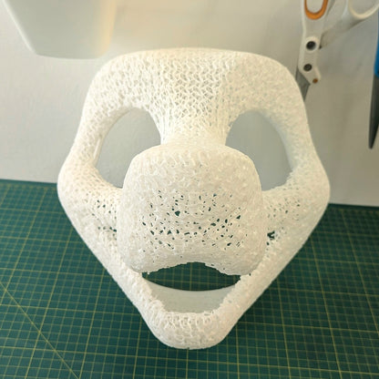 Head Base : Canine