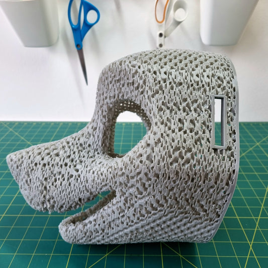 Head Base : Canine