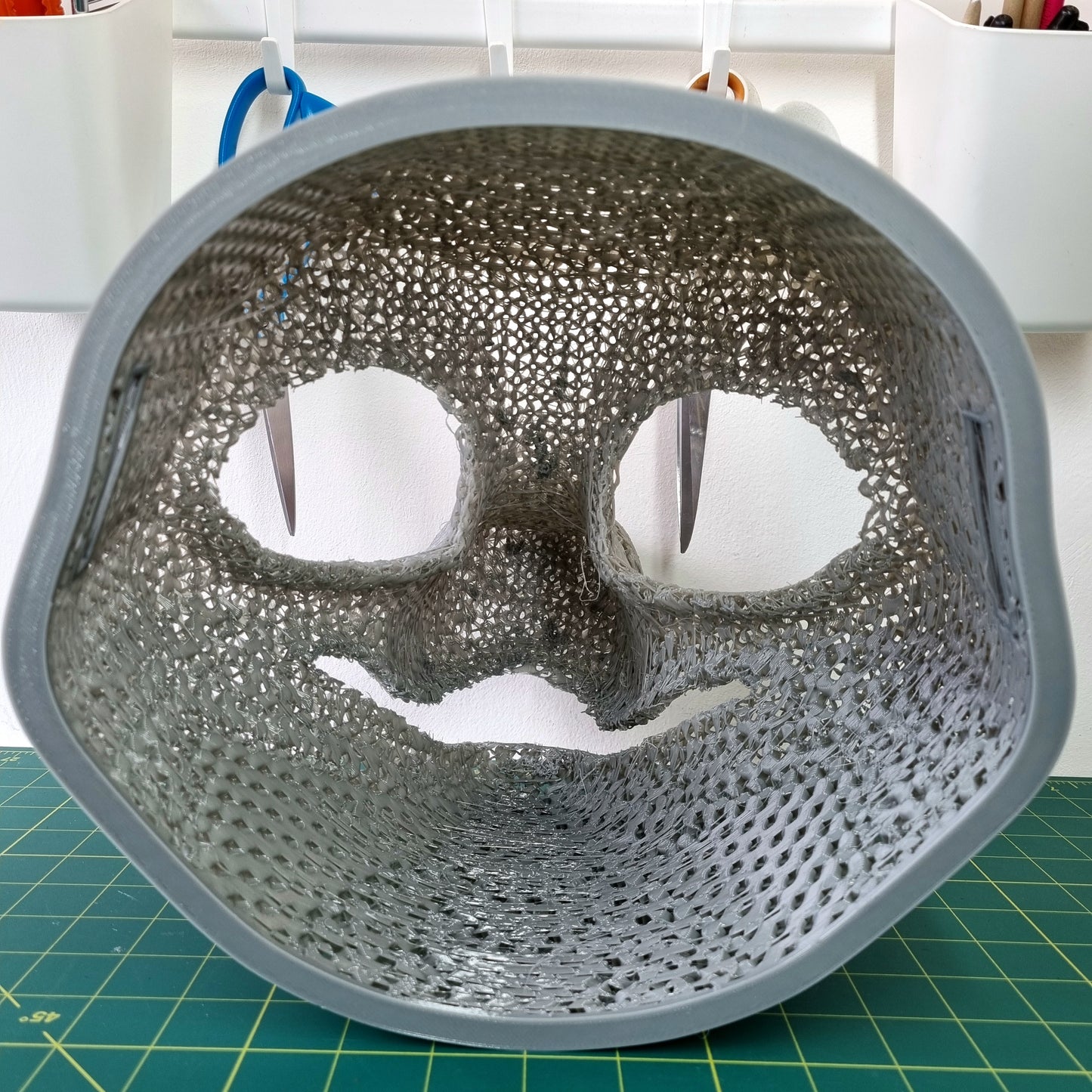 Head Base : Canine